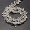 Natural Quartz Crystal Chips Beads Strands X-G-P030-01-3