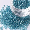 12/0 Glass Seed Beads X2-SEED-A005-2mm-23-1