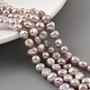 Natural Cultured Freshwater Pearl Beads Strands PEAR-A006-07D-2