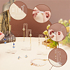 3Pcs 3 Sizes Tree Transparent Acrylic Earring Display Stands EDIS-WH0029-40-3