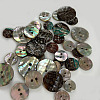 Abalone Shell/Paua Shell X-BSHE-I011-04A-5