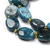 Natural Apatite Beads Strands G-H005-A03-03-4