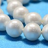 Round Shell Pearl Bead Strands X-BSHE-L011-8mm-A013A-4