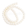 Natural Cultured Freshwater Pearl Beads Strands PEAR-C003-05C-3