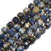 Natural Sodalite Beads Strand G-I376-D71-01-1