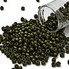 TOHO 6/0 Round Beads X-SEED-TR06-0617-1