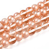 Baking Paint Transparent Glass Beads Strands DGLA-N011-10mm-04-1