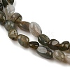 Natural Labradorite Beads Strands G-C250-03-4