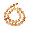 Natural Carnelian  Beads Strands G-I376-C10-01-2