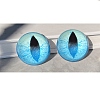 Glass Cat Eye Decorative Eye Piece DIY-WH0110-26F-1