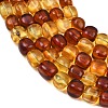Two Tone Natural Amber Beads Strands G-K426-A03-06-3