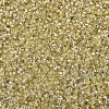 MIYUKI Delica Beads SEED-X0054-DB1212-3