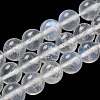 Natural Rainbow Moonstone Round Bead Strands G-M263-D-02A-1