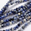 Natural Sodalite Beads Strand LS-GSR6mmC013-1