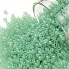 TOHO Round Seed Beads SEED-JPTR11-1144-1