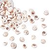 Natural Shiva Eye Shell Beads SSHEL-NB0001-16-1