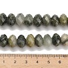 Natural Green Rutilated Quartz Beads G-C259-A08-8x12mm-5