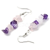 Natural Rose Quartz & Amethyst & Green Aventurine & Red Jasper & Citrine & Malachite Chip Dangle Earrings Set for Women EJEW-JE06246-6