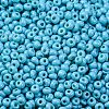 8/0 Baking Paint Glass Seed Beads SEED-M012-02A-46-3