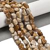 Natural Fossil Coral Beads Strands G-P497-01E-36-2