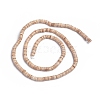 Shell Beads Strands BSHE-G026-01-2