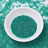 MIYUKI Delica Beads SEED-J020-DB0918-2