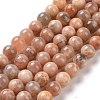 Round Natural Multi-Moonstone Beads Strands G-I176-09-10mm-2