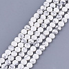 Natural Howlite Beads Strands G-S354-30-1