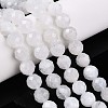 Natural Rainbow Moonstone Beads Strands G-S345-8mm-36-2