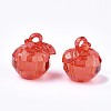 Transparent Acrylic Pendants TACR-S133-119-2