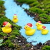 Mini Duck Resin Display Decorations FIND-SZC0013-345-2