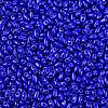 Baking Paint Glass Seed Beads SEED-T006-03-01-2