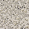 MIYUKI Delica Beads X-SEED-J020-DB0883-3