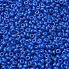 Baking Paint Glass Seed Beads SEED-P006-03A-25-3