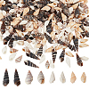   480Pcs 4 Style Natural Conch Decorations SSHEL-PH0001-22-1