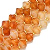 Natural Carnelian  Beads Strands G-I376-C10-01-1