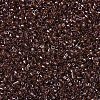 MIYUKI Delica Beads SEED-MY11-DB1891-3