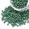 8/0 Czech Opaque Glass Seed Beads SEED-N004-003A-13-1