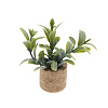 Plastic Potted Plant Mini Model PW-WGD7CCF-05-1