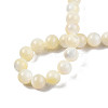 Natural White Shell Bead Strands SSHEL-N003-144H-01-4