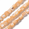 Natural Trochid Shell/Trochus Shell Bead Strands SSHEL-N034-77-C03-1