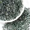 Spray Painted with Glitter Powder Glass Seed Beads SEED-T007-09C-3