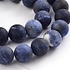 Frosted Natural Sodalite Round Bead Strands X-G-F231-01-8mm-1