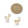 Natural Pearl Ear Studs EJEW-P286-45G-3