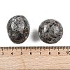 Natural Syenite Beads G-G348-01B-46-3