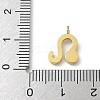 Ion Plating(IP) 304 Stainless Steel Micro Pave Cubic Zirconia Charms STAS-Z107-09G-09-3