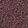 MIYUKI Delica Beads SEED-X0054-DB1013-3