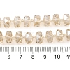 Transparent Electroplate Glass Beads Strands EGLA-P062-01A-PL03-4