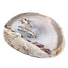 Printed Natural Agate Slice Stone Ornament DJEW-M011-03H-4