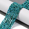 Natural HuBei Turquoise Beads Strands G-B130-A01-01-2